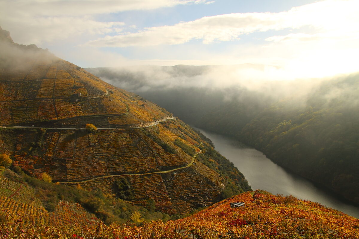 Ribeira Sacra II